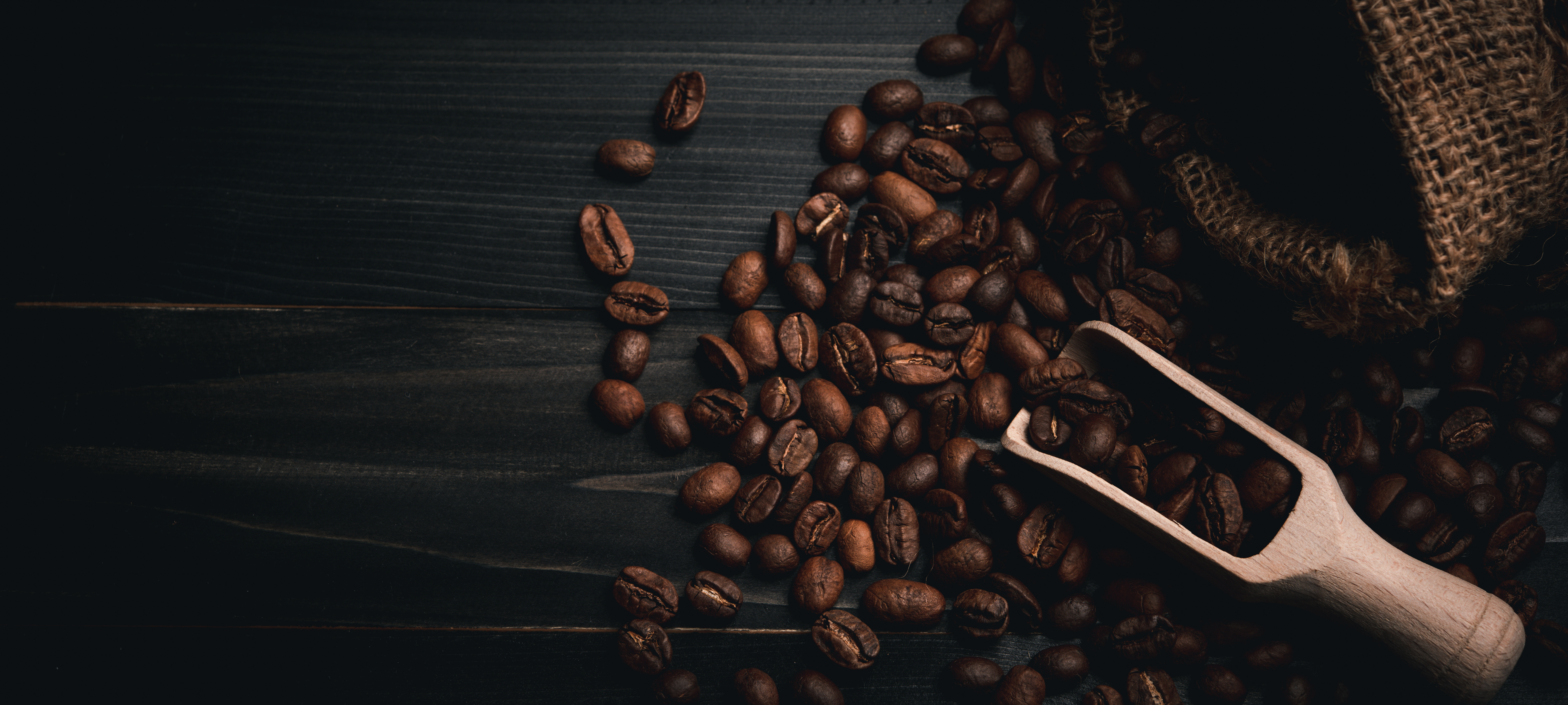 The unique flavor and aroma of a brewed coffee made with the highest quality coffee beans and offering to you in beautiful packages is our business purpose.